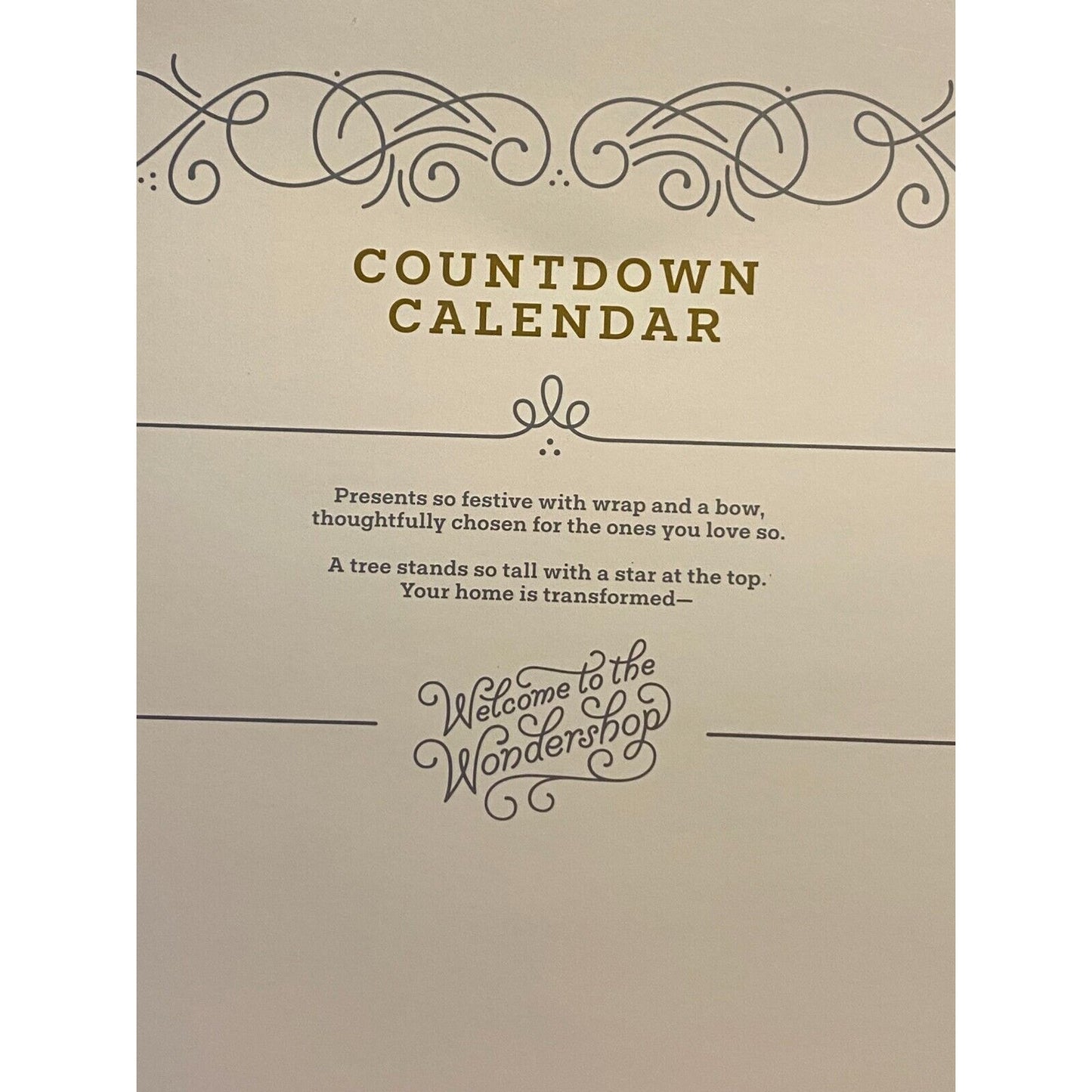 Countdown Christmas Calendar Wondershop Deer Polar Bear Snowman Fox NIB