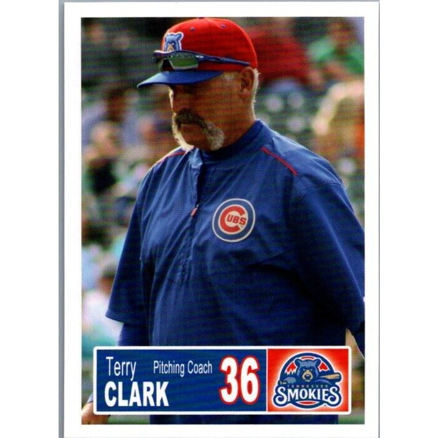 2018 Grandstand #36 Terry Clark Tennessee Smokies