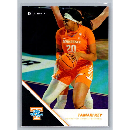 University of Tennessee #22 Tamari Key Grey Parallel