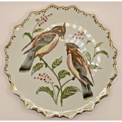 Vintage Cedar Waxwing Birds & Berries Plate - 7.25" Dee Bee Co Japan Gold