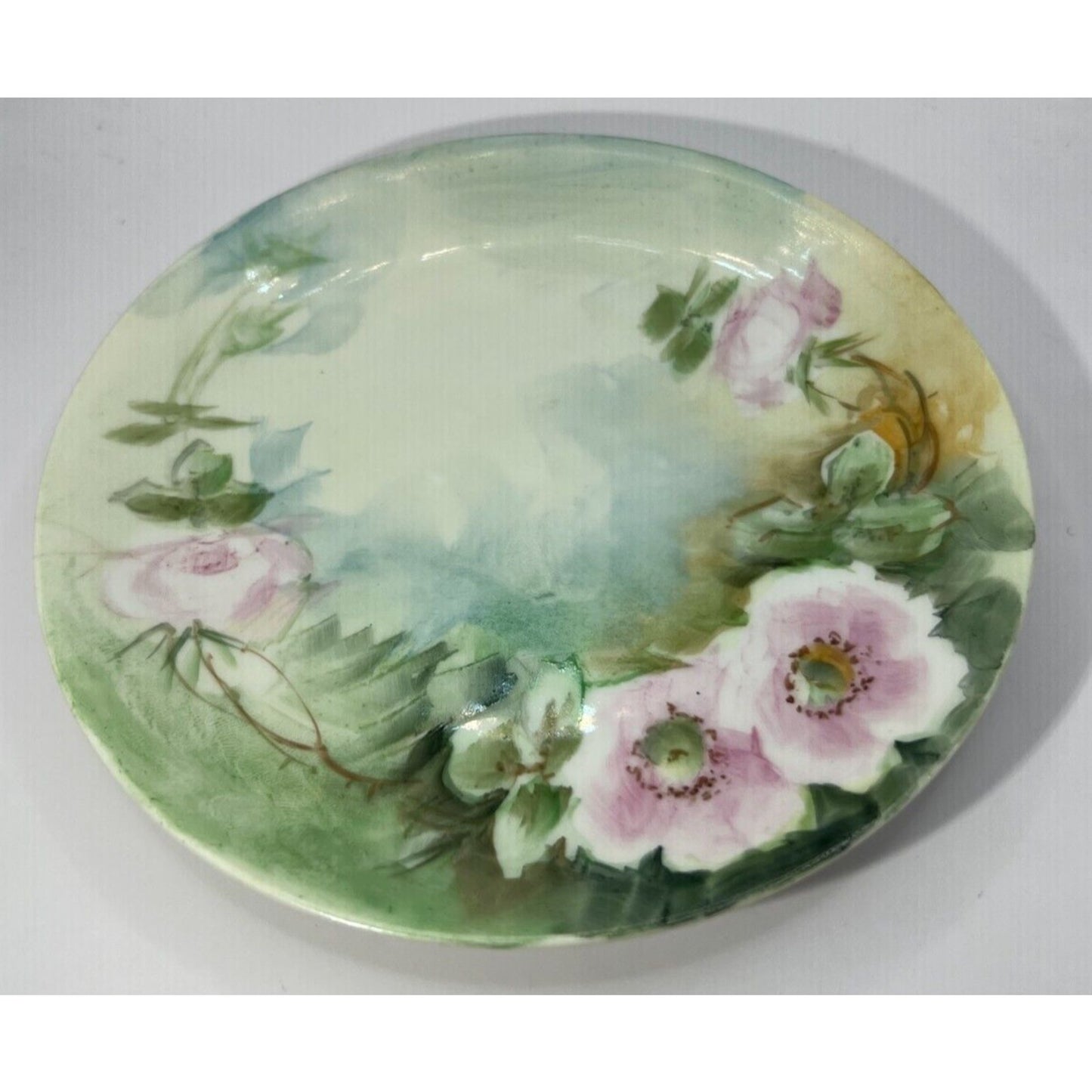 D & C France hand painted 6" plate Floral Vintage