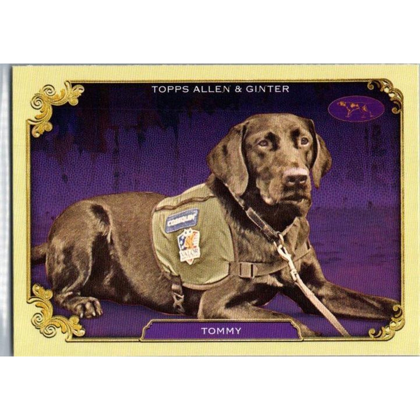 2024 Topps Allen & Ginter #SOS-6 Tommy Stars Of The Show The Westminster Kennel