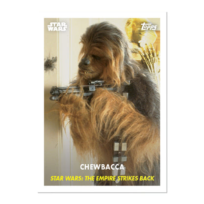 2024 Throwback Thursday Star Wars Edition 67 Chewbacca PR: 1028